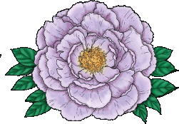 fleurs et nature (122).gif